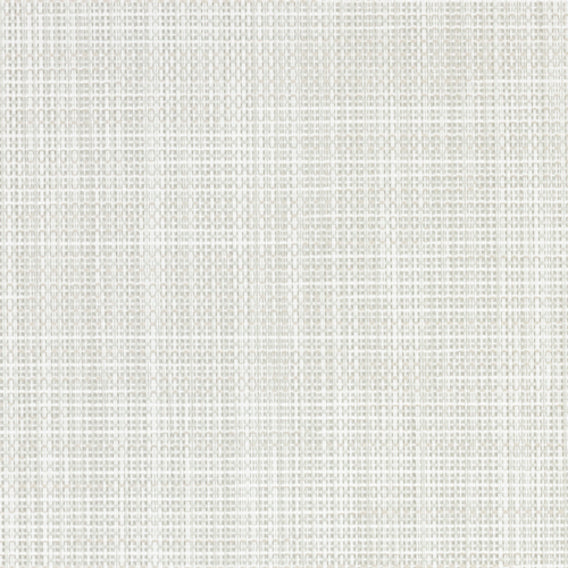 Bollywood Backed Moti Pearl | Knoll