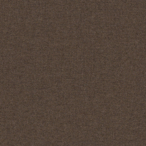 Calm Acorn | Knoll