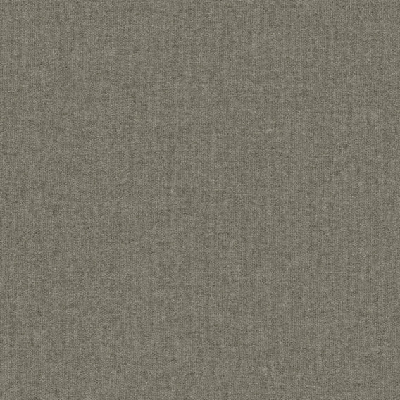 Calm Coin | Knoll