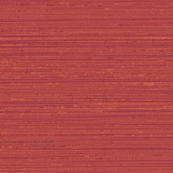 Debut Bravo | Knoll