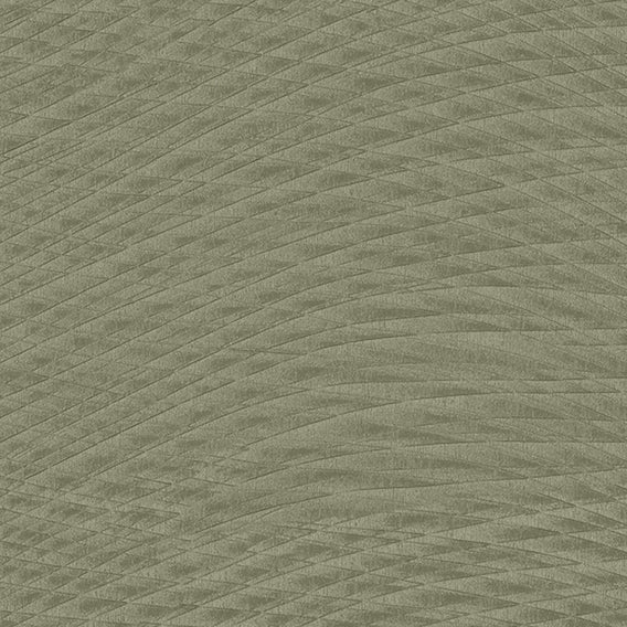 Drift Palm | Knoll