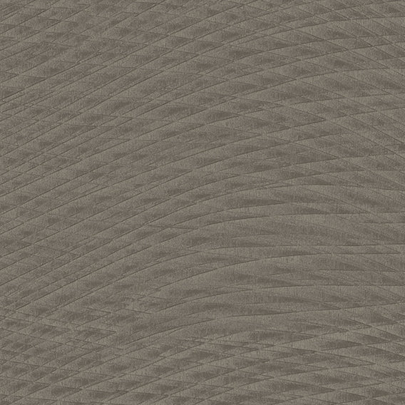 Drift Basin | Knoll