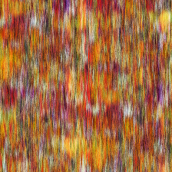 Forest By Nick Cave Feather | Knoll