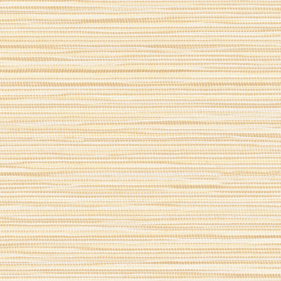 Formation Dune | Knoll