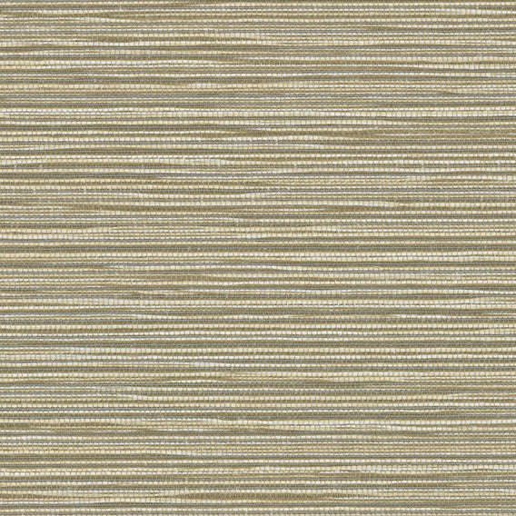 Formation Marsh | Knoll