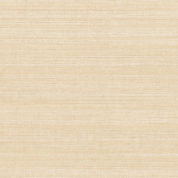 Galileo Papyrus | Knoll