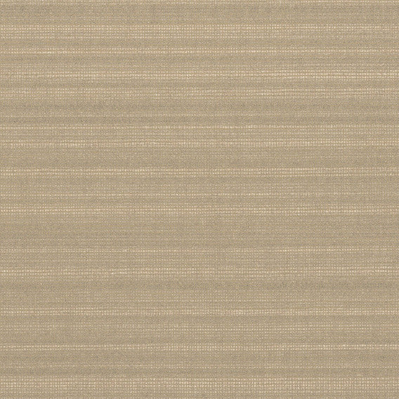 Galileo Sahara | Knoll