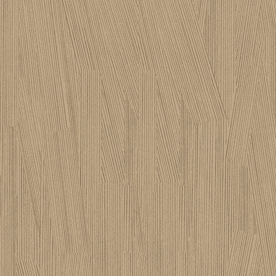 Gesso Lynx | Knoll
