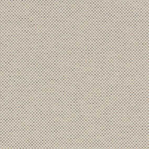 Gist Biscotti | Knoll