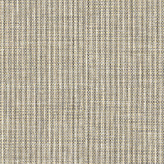 Ion Field | Knoll