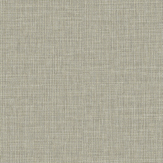 Ion Spruce | Knoll
