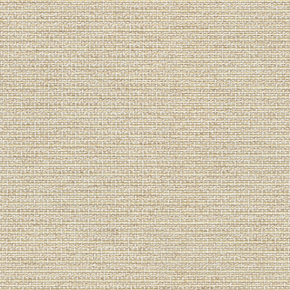 Latitude Catnip | Knoll
