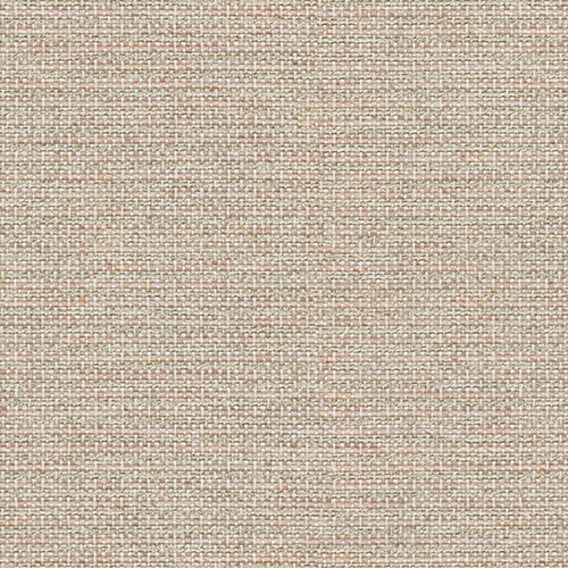 Latitude Rosebush | Knoll