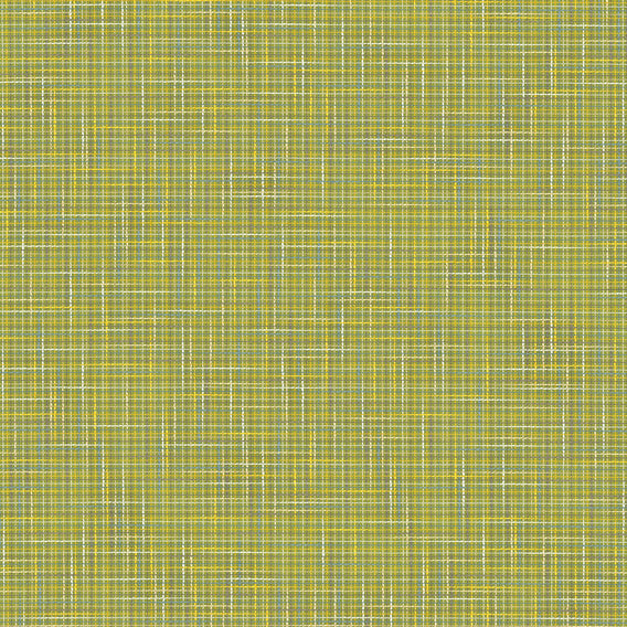 Plus One Picnic | Knoll