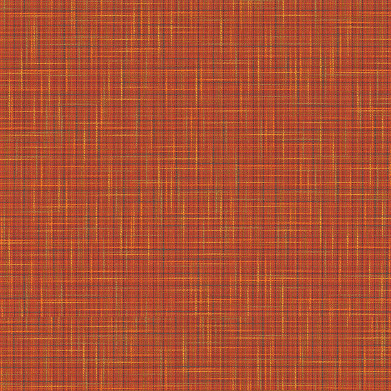Plus One Venus | Knoll