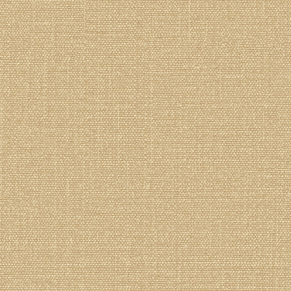 Simple Firelight | Knoll