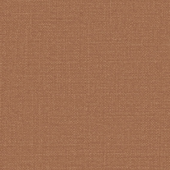 Simple Armadillo | Knoll
