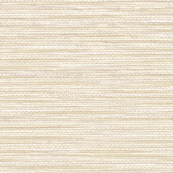 Splendid Beech | Knoll