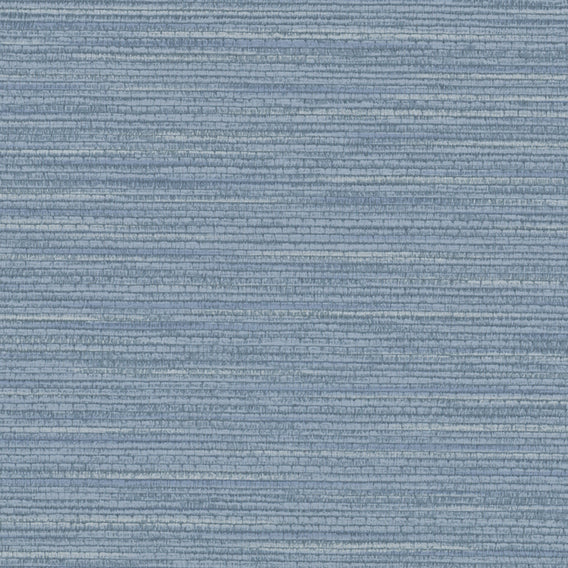 Splendid Blue Jay | Knoll