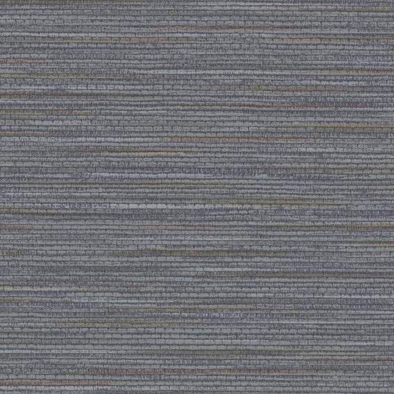 Splendid Cricket | Knoll