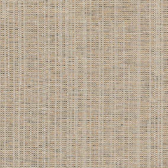 Transfer Tavern | Knoll