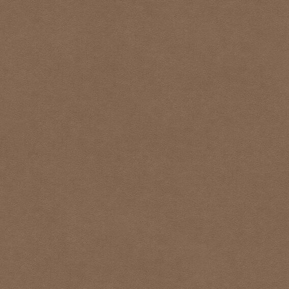 Ultrasuede Beaver | Knoll