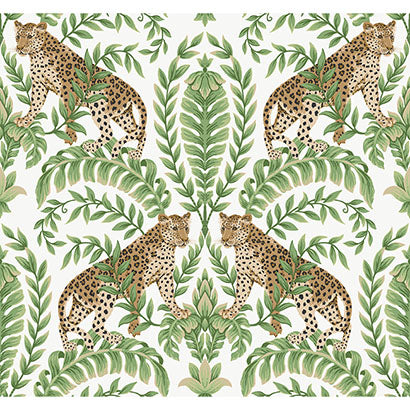 Jungle Leopard Wallpaper | Jeffrey Stevens