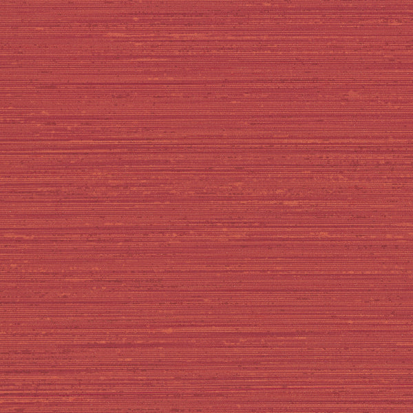 Debut Bravo | Knoll
