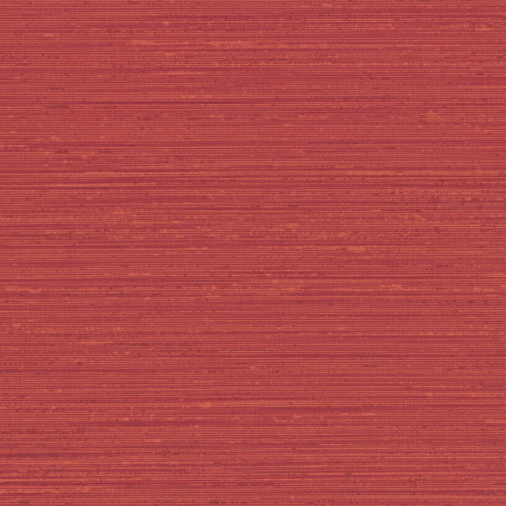 Debut Bravo | Knoll