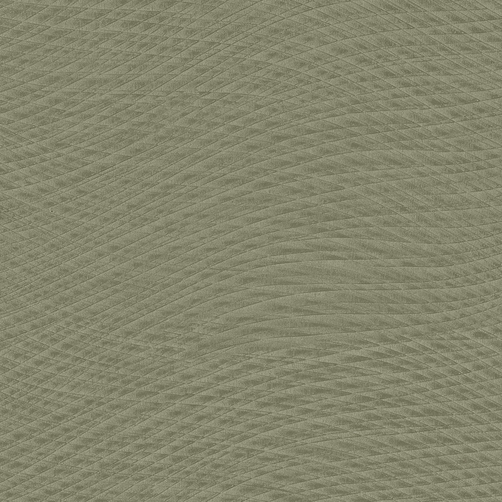 Drift Palm | Knoll