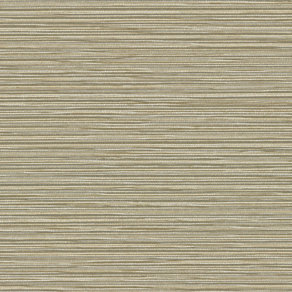 Formation Marsh | Knoll