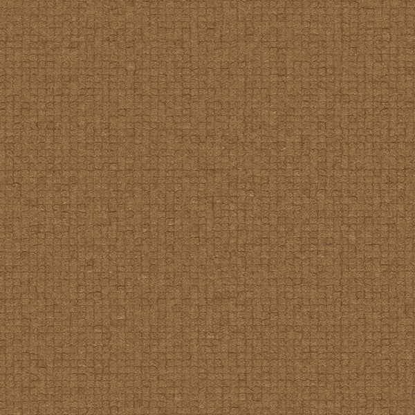 Fragment Penny | Knoll