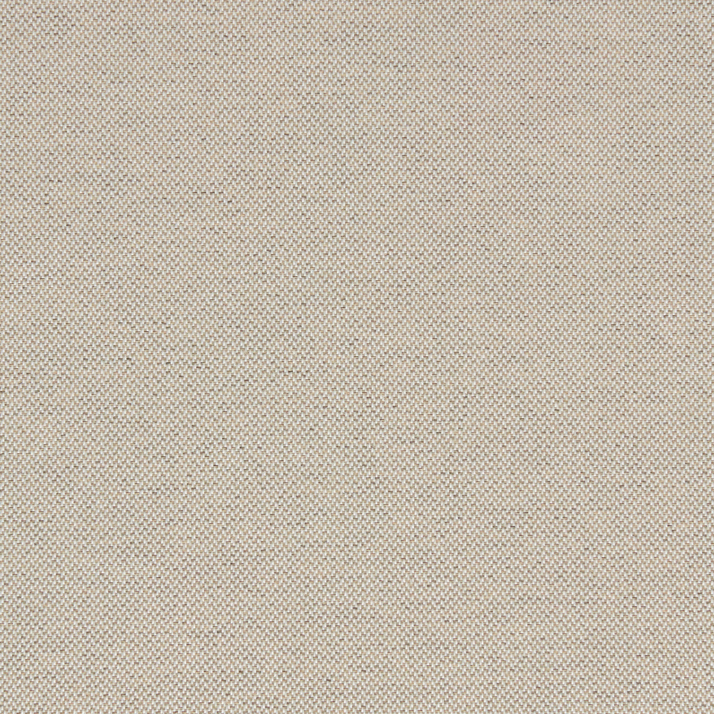 Gist Biscotti | Knoll