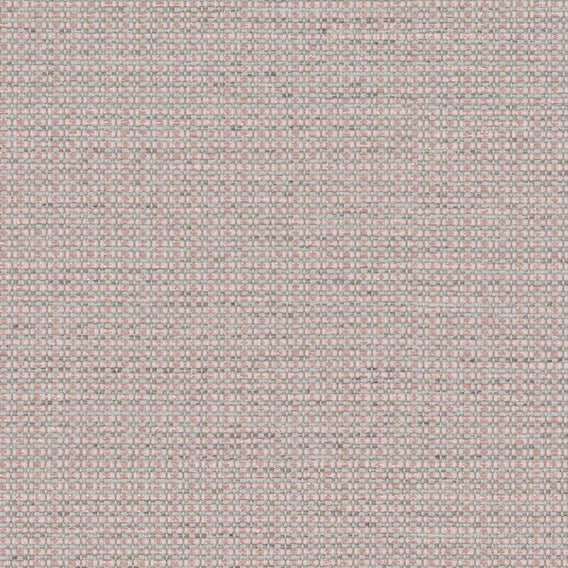 Mystique Shell | Knoll