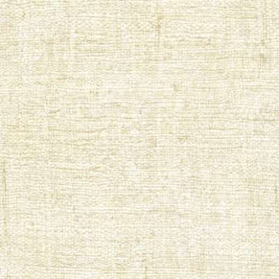 Muga Silk Wallcovering - Beige Wallcovering | Arte International