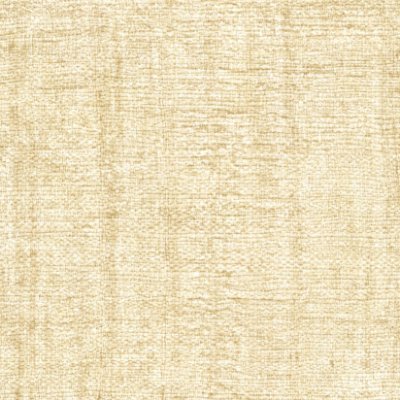 Muga Silk Wallcovering - Beige Wallcovering | Arte International
