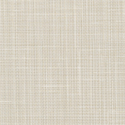 Future Adalyn Weave Wallcovering (AL21-06)