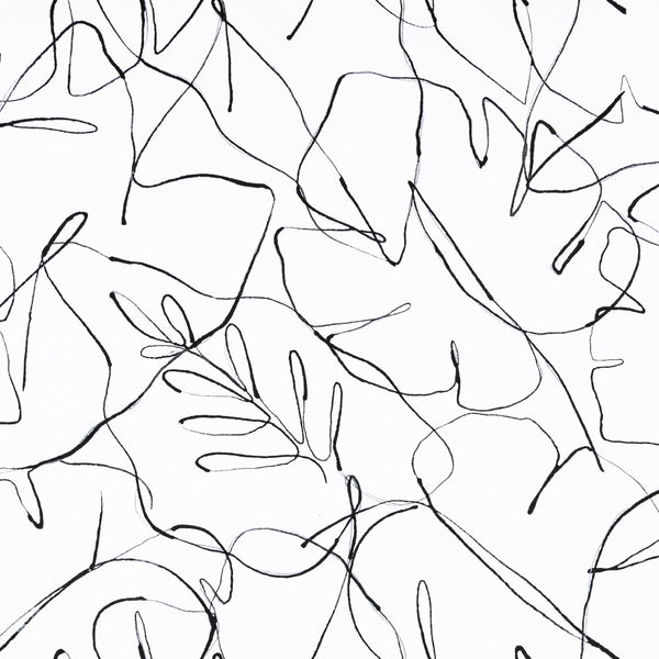 Costa Puffbird | Architectural Wallcoverings