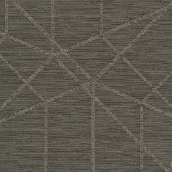Celestial Loom Char Mesh | Architectural Wallcoverings