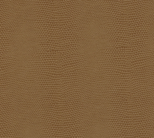 Cocoa | Commercial Fabric | Los Angeles Fabrics
