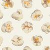 King of Pop Corn Star