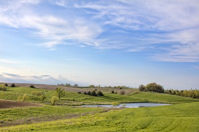 Landscapes 11   Wallpaper (279) | Kurt Johnson | Koroseal