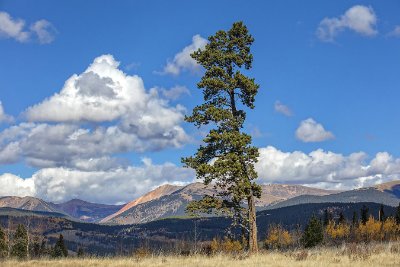 Landscapes 14   Wallpaper (811) | Kurt Johnson | Koroseal