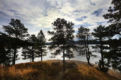 Landscapes 25   Wallpaper (5526) | Kurt Johnson | Koroseal