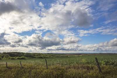 Landscapes 28   Wallpaper (9251) | Kurt Johnson | Koroseal