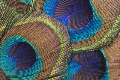 Textures 11   Wallpaper (893) | Kurt Johnson | Koroseal