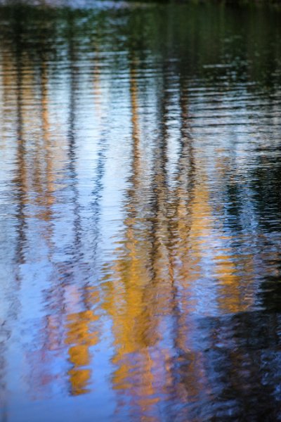 Textures 27   Wallpaper (4132) | Kurt Johnson | Koroseal