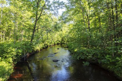 Waterscapes 1   Wallpaper (448) | Kurt Johnson | Koroseal