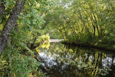 Waterscapes 3   Wallpaper (645) | Kurt Johnson | Koroseal