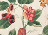 Wallcovering Nakai, Pistacchio